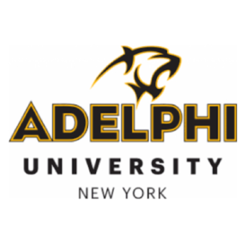 Adelphi University logo featuring a stylized panther head above the words 